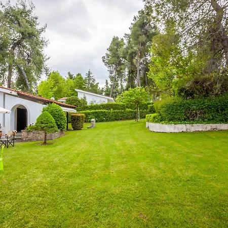 Luxurious Sani Luna With Shared Pool Villa